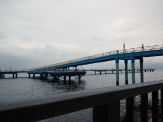 海釣り公園(´-ω-`)